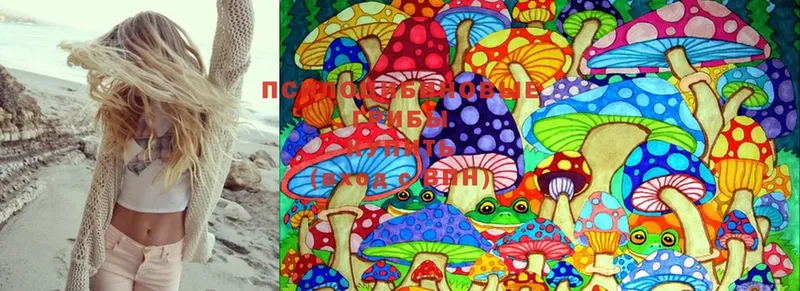 наркошоп  Духовщина  ОМГ ОМГ ССЫЛКА  Псилоцибиновые грибы MAGIC MUSHROOMS 